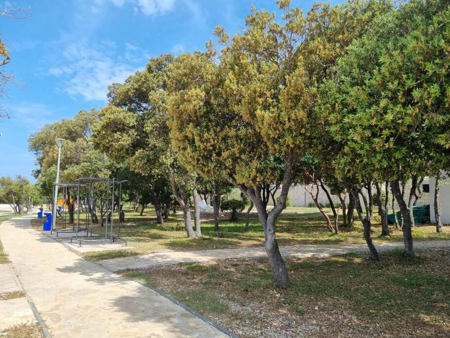 Sunny Sky Punta Skala, See View, 75 M To The Beach Petrcane Exterior photo